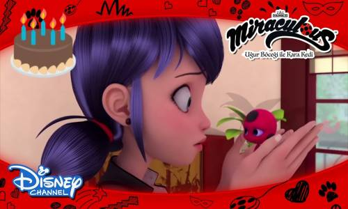 Uğur Böceği ile Kara Kedi - Kwamiler'in Doğum Günü Partisi