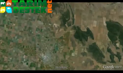 Avustralyada Ceviz Üretiminde Gelinen Son Nokta