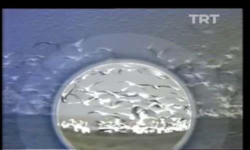 Türkü Türkü Türkiyem 2.Bölüm