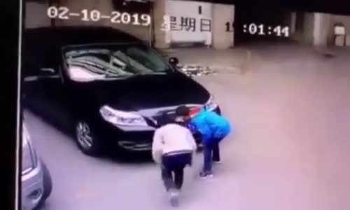 Torpille Araba Yakan Veletler