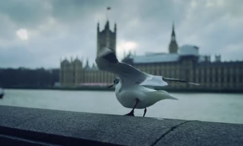 Gülben Ergen - Esasen