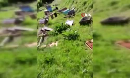 Tekirdağ’da kovanları kırıp 4 milyon arıyı telef ettiler 