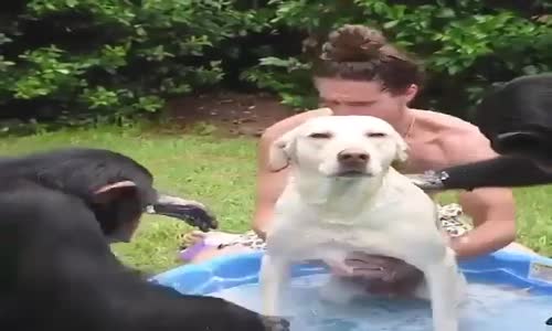 farklı bir eğitim süreci daha