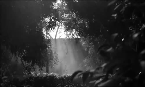 Selami Şahin & Burcu Güneş - Ben Bir Tek Kadın Sevdim