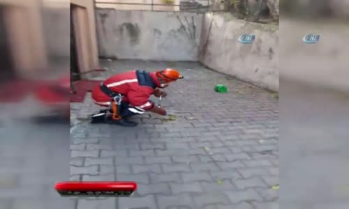 İtfaiyeden Zehirli Yılan Operasyonu 