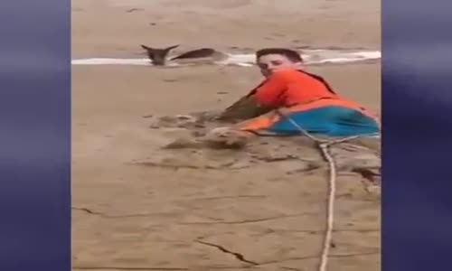 Bataklıktan Yavru Ceylanı Kurtaran Cesur İnsanlar