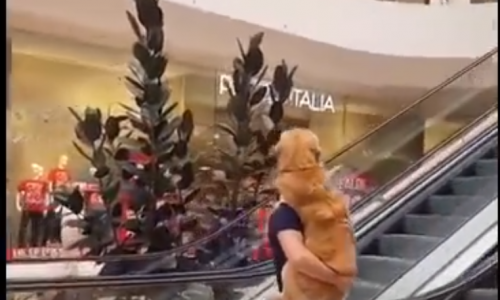 Yürüyen Merdiven Korkusuyla Sahibine Sıkıca Sarılan Köpek