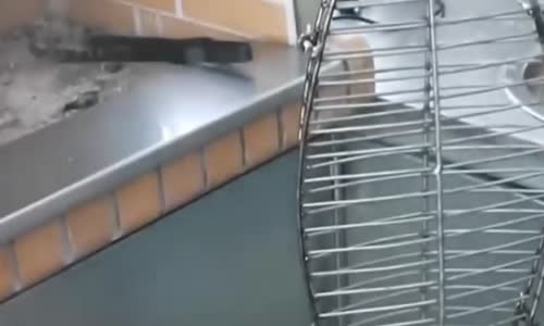 Balık yemeyi sevenler izlemesin!!! Aklınızı yitirebilirsiniz!!! Bu nasıl lezzet!!!