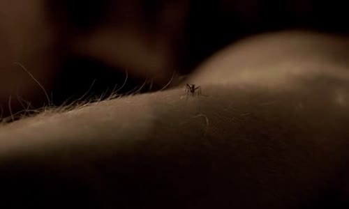Dexter 2x04