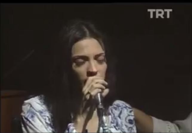 Yeşim Salkım-Dönülmez Akşamın Ufkundayız 