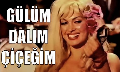 Gülüm Dalım Çiçeğim 1971 Türk Filmi İzle