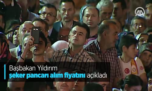 Başbakan Yıldırım Şeker Pancarı Alım Fiyatını Açıkladı