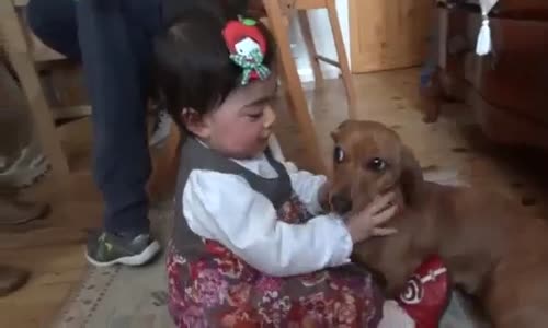 Bebeği Öpücüklere Boğan Köpek :Yalakalıkta