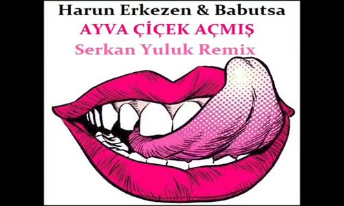 Harun Erkezen & Babutsa - Ayva Çiçek Açmış (Serkan Yuluk Remix)