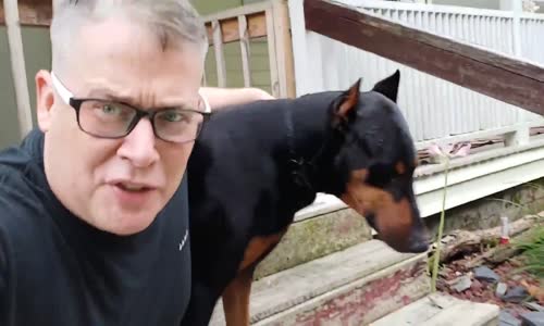 Başına Konulan Dondurmayı Saniyede Ağzına İndiren Köpek