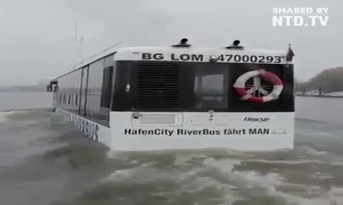SwimBus, Riverbus Yüzen Otobüs 