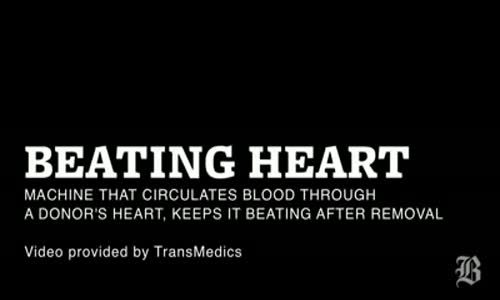 Kalp Nasıl Çalışır 