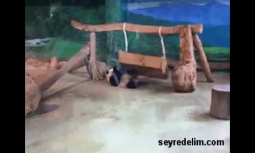 Hemen Uyumayı İsterken