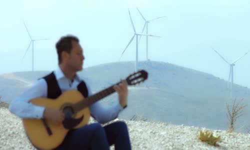 Ali Kurtuluş Şaylı - Ceviz Yaprağı Dal Arasında