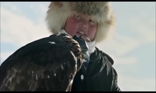 Kaya Kartallarını Kullanarak Tilki Avlamak