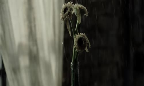 Pamela - Ağla Halime