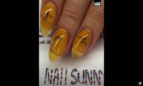 Ölü Sivri Sinekle Oje Deseni Yapmak