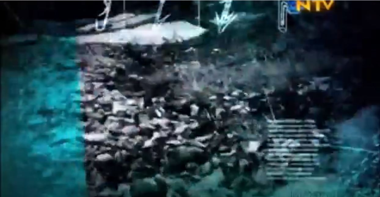 Doğada Tek Başına - Serdar KILIÇ - Dağ Bisikleti