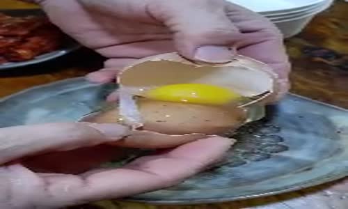 Yumurtadan Çıkan Yumurta