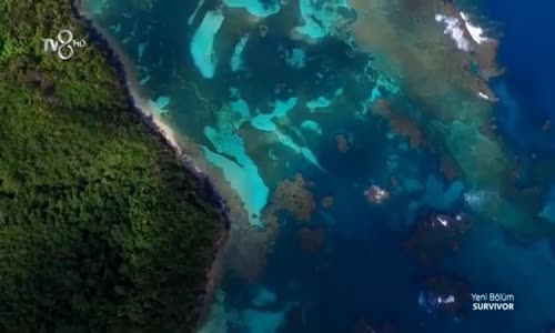 Survivor 2017-Başlangıç Muhabbetleri 4/4 