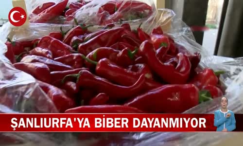Şanlıurfa'ya Biber Dayanmıyor! Şanlıurfa'da Şili Biberi'nin Kilosu 9 Lira! İşte Detaylar 