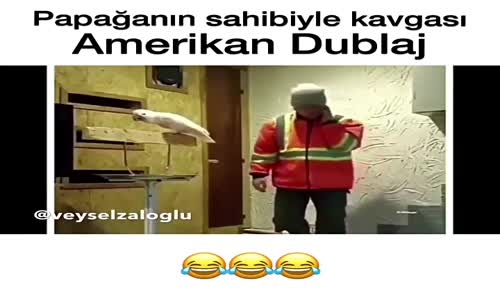 Papağanın Sahibiyle Kavgası - Amerikan Dublaj