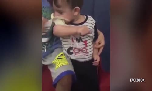  Kuşu Sevmek Yerine Yemeye Çalışan Çocuk