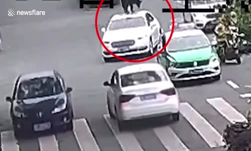 Köpek Çin'de Yol Boyunca Arabanın ÇAtısında Gezip Tozması