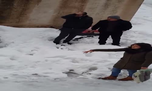 Kedi Evi Koydular Diye Saldırıya Uğrayan Gençler