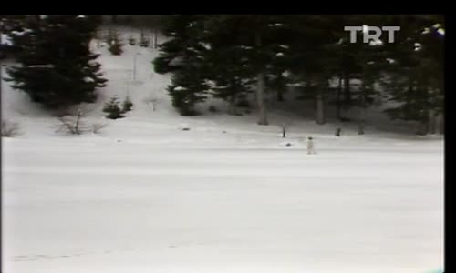 Nilüfer-Kar Taneleri 