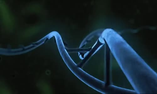 Değişen Gezegen- Yeni Zelanda 