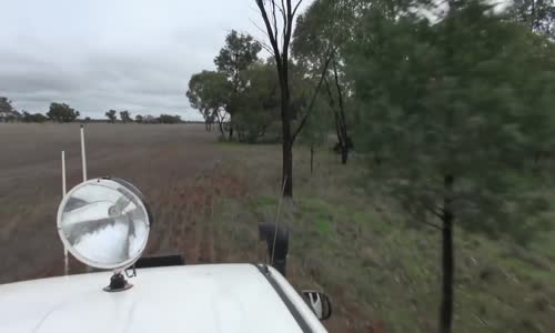 Köpeği Boğmaya Çalışan Kanguruya Yumruk Atan Adam (Tam Detaylı Filmi)..Komik