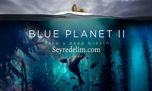 Blue Planet II 1. Sezon 4. Bölüm İzle