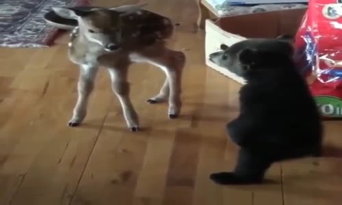 Tatlım Makinelerden daha çok insanlığa ihtiyacımız var.