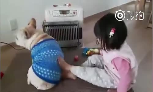 Köpeği İle Sıcak Sobanın Öbünü Paylaşamayan Ufaklık