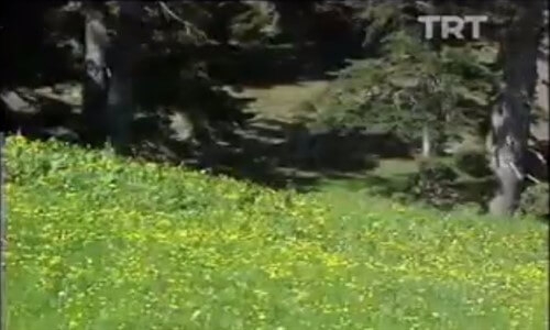 Nuray Yılmaz'ın Düzce Gezisi