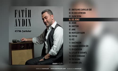 Fatih Aydın Kül Rengi