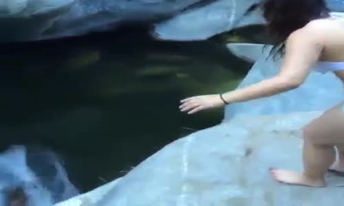 Bu Kadar Da Çok Acıyacak Komik Videoları İzle