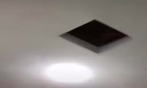 TikTok Filtresinden Acayip Korkan Kedi 