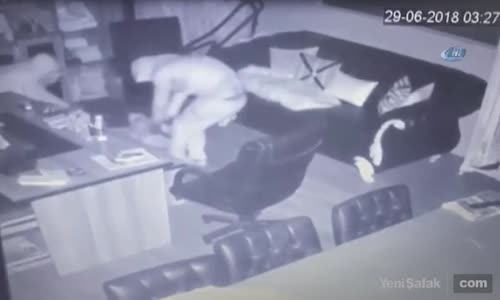 Mağaza Farelerinin Hırsızlık Anı Kamerada