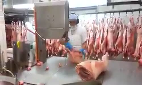 Hipnotize Edici Et Kesimi