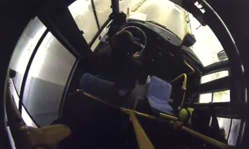 Yaya Geçidinde Bekleyen Köpeğe Yol Veren Otobüs Şoförü