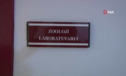 Profesörün yılan sevgisi görenleri şaşırtıyor 