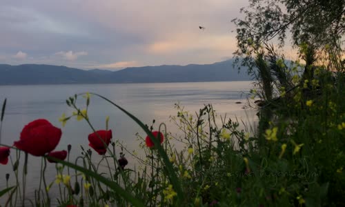 İclal Aydın - Bir Servi Diktim Şu Karşıki Dağda (Ft. Mümin Sarıkaya) 