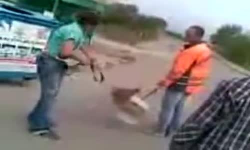 Oğlum Bak Git Fenomen Video